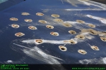 036_cars_bulletholes